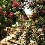 Fairy Tale On Water Stream, 30 Minutes From South Prague Hébergement de vacances *