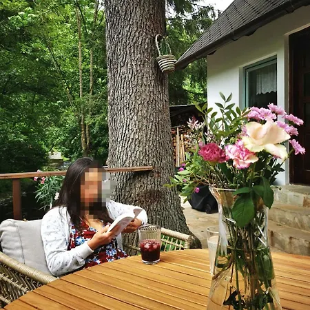 Holiday home Fairy Tale On Water Stream, 30 Minutes From South Prague Davle