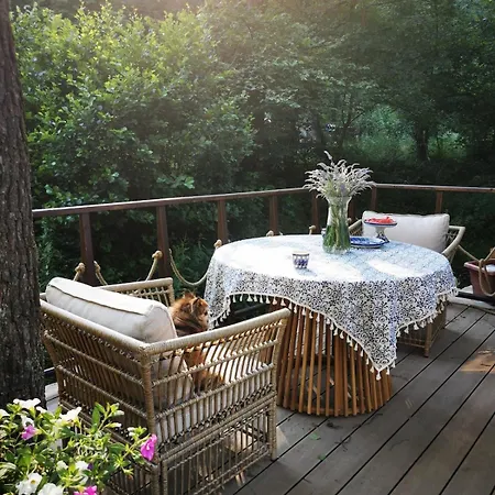 Fairy Tale On Water Stream, 30 Minutes From South Prague * Davle