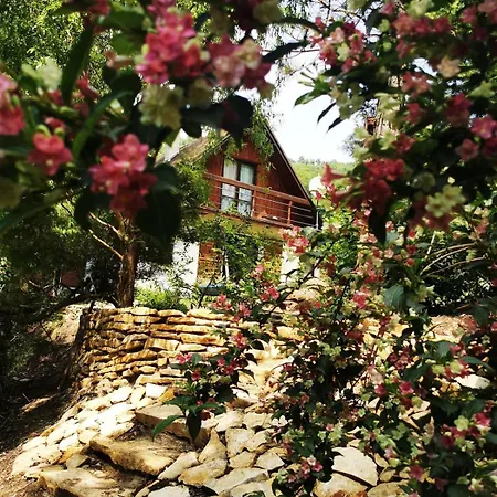 Fairy Tale On Water Stream, 30 Minutes From South Prague Holiday home *