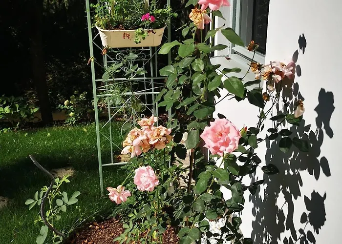 Fairy Tale On Water Stream, 30 Minutes From South Prague * Davle