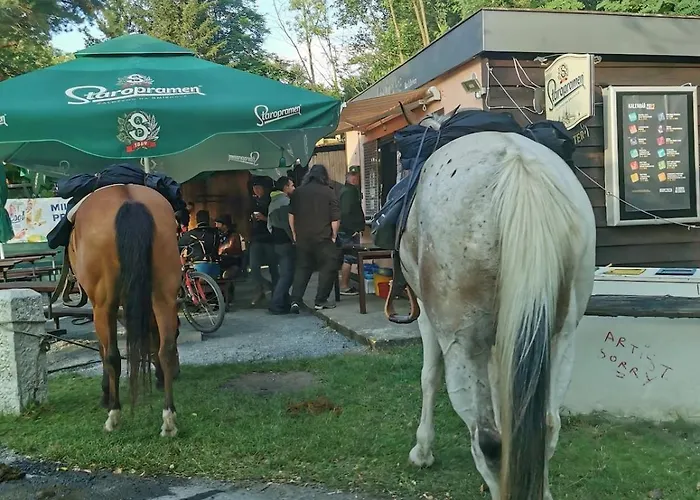 Fairy Tale On Water Stream, 30 Minutes From South Prague Dom wakacyjny Davle